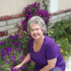 Meet your Posher, Lu